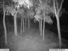 Waterproof Tree Tripod Outdoor Mountable Hunting Video Camera Cam Vid